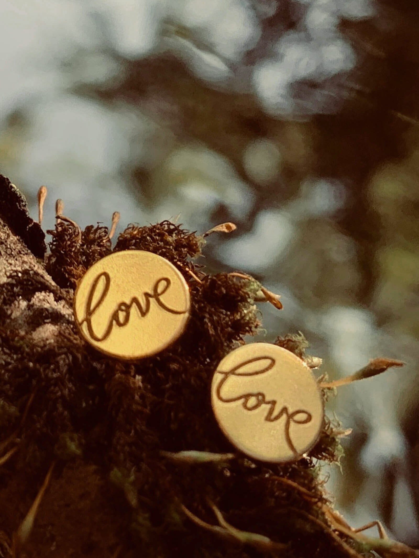 Ohrringe LOVE Vergoldet